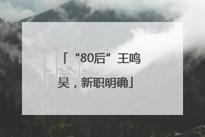 “80后”王鸣昊，新职明确
