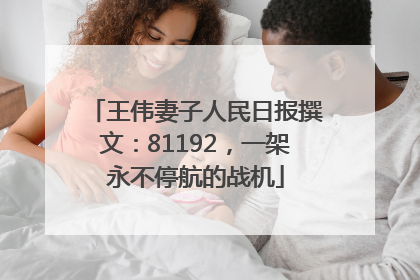 王伟妻子人民日报撰文：81192，一架永不停航的战机
