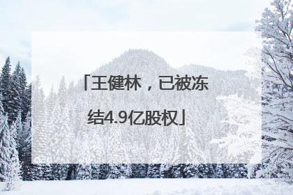 王健林，已被冻结4.9亿股权