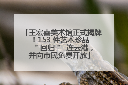 王宏喜美术馆正式揭牌！153 件艺术珍品 “ 回归 ” 连云港，并向市民免费开放