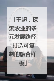 王超：探索农业的多元发展路径 打造可复制的融合样板
