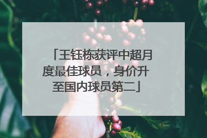 王钰栋获评中超月度最佳球员，身价升至国内球员第二