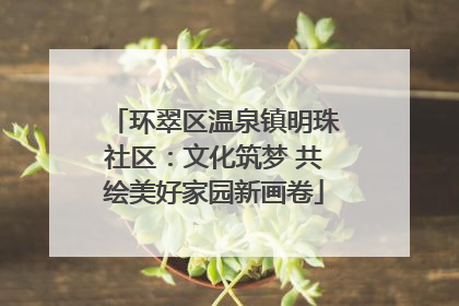 环翠区温泉镇明珠社区：文化筑梦 共绘美好家园新画卷