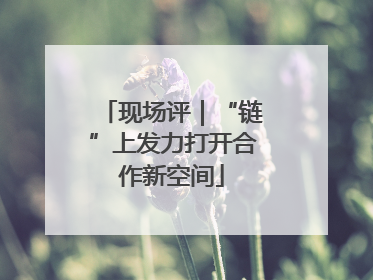 现场评｜“链”上发力打开合作新空间