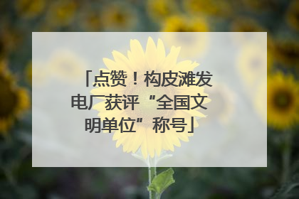 点赞！构皮滩发电厂获评“全国文明单位”称号