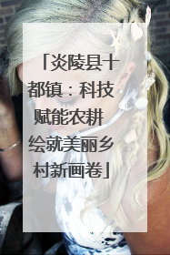 炎陵县十都镇：科技赋能农耕 绘就美丽乡村新画卷