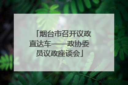 烟台市召开议政直达车——政协委员议政座谈会