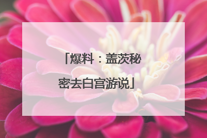 爆料：盖茨秘密去白宫游说