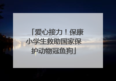 爱心接力！保康小学生救助国家保护动物冠鱼狗