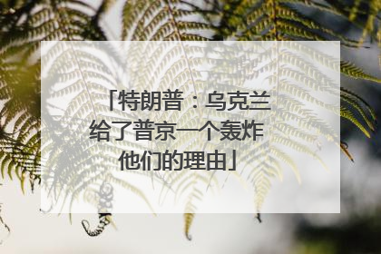 特朗普：乌克兰给了普京一个轰炸他们的理由