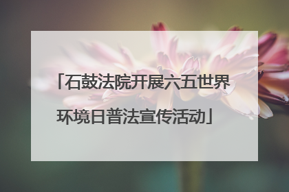 石鼓法院开展六五世界环境日普法宣传活动