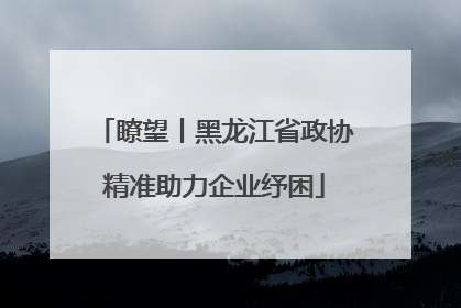 瞭望丨黑龙江省政协精准助力企业纾困