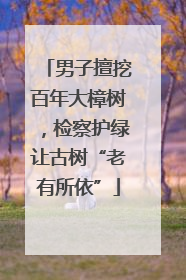 男子擅挖百年大樟树，检察护绿让古树“老有所依”