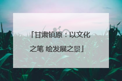 甘肃镇原：以文化之笔 绘发展之景