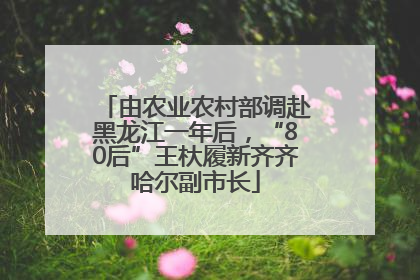 由农业农村部调赴黑龙江一年后，“80后”王杕履新齐齐哈尔副市长