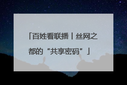 百姓看联播丨丝网之都的“共享密码”