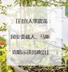 白宫人事震荡：国安委裁人、马斯克暗示淡出政治