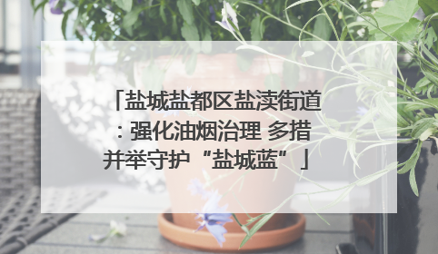 盐城盐都区盐渎街道：强化油烟治理 多措并举守护“盐城蓝”