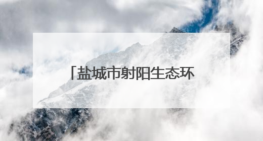 盐城市射阳生态环境局开展六五环境日主题宣传系列活动