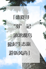 盛夏寻 “羽” 记：滇池观鸟掀起生态旅游新风尚