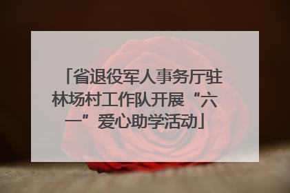 省退役军人事务厅驻林场村工作队开展“六一”爱心助学活动