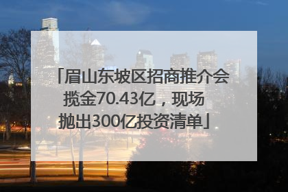 眉山东坡区招商推介会揽金70.43亿，现场抛出300亿投资清单