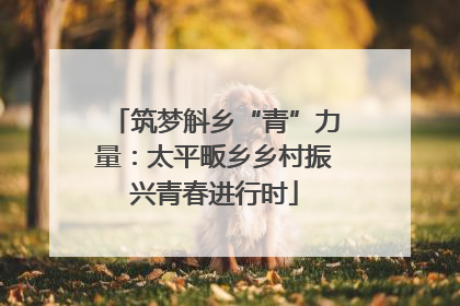 筑梦斛乡“青”力量：太平畈乡乡村振兴青春进行时