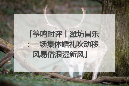 筝鸣时评丨潍坊昌乐：一场集体婚礼吹动移风易俗浪漫新风