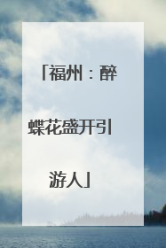 福州：醉蝶花盛开引游人