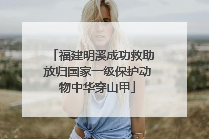 福建明溪成功救助放归国家一级保护动物中华穿山甲