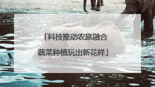 科技推动农旅融合 蔬菜种植玩出新花样