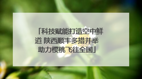 科技赋能打造空中鲜道 陕西顺丰多措并举助力樱桃飞往全国