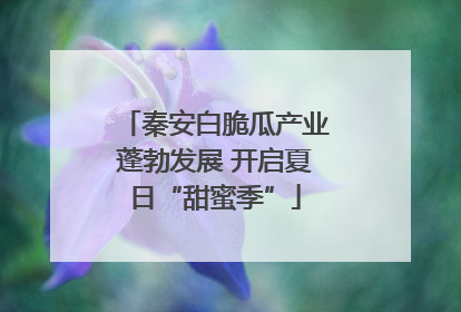 秦安白脆瓜产业蓬勃发展 开启夏日“甜蜜季”