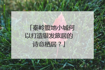 秦岭腹地小城何以打造银发旅居的诗意栖居？