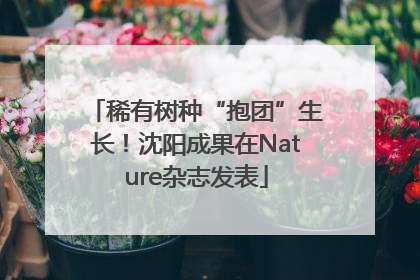 稀有树种“抱团”生长！沈阳成果在Nature杂志发表