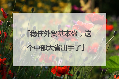 稳住外贸基本盘，这个中部大省出手了