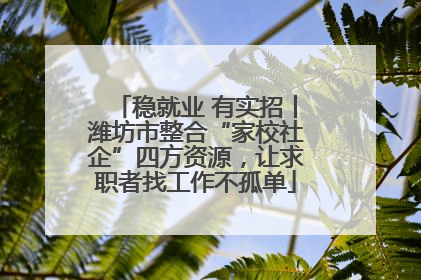 稳就业 有实招丨潍坊市整合“家校社企”四方资源，让求职者找工作不孤单