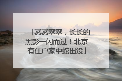 窸窸窣窣，长长的黑影一闪而过！北京有住户家中蛇出没