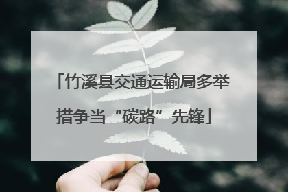 竹溪县交通运输局多举措争当“碳路”先锋