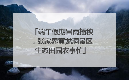 端午假期冒雨插秧，张家界黄龙洞景区生态田园农事忙