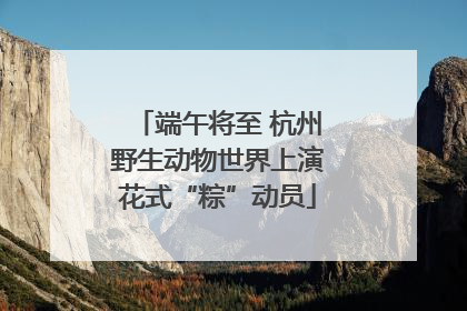 端午将至 杭州野生动物世界上演花式“粽”动员