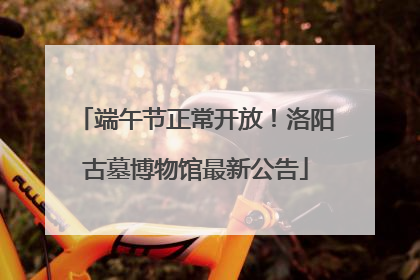 端午节正常开放！洛阳古墓博物馆最新公告