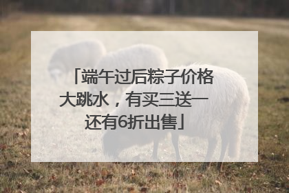 端午过后粽子价格大跳水，有买三送一还有6折出售