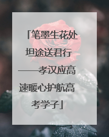 笔墨生花处 坦途送君行——孝汉应高速暖心护航高考学子