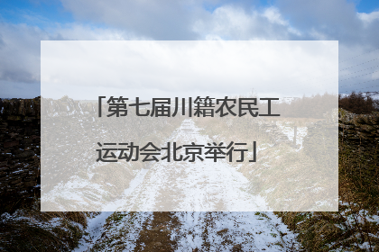 第七届川籍农民工运动会北京举行
