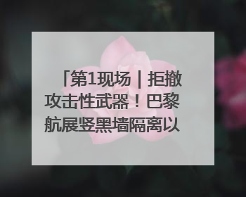 第1现场｜拒撤攻击性武器！巴黎航展竖黑墙隔离以色列四展台