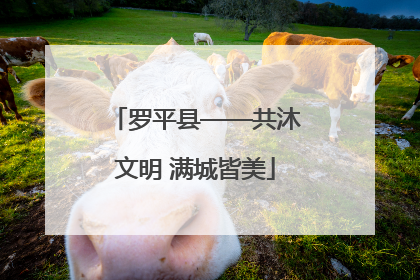罗平县——共沐文明 满城皆美