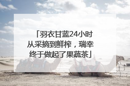 羽衣甘蓝24小时从采摘到鲜榨，瑞幸终于做起了果蔬茶