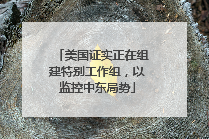 美国证实正在组建特别工作组，以监控中东局势