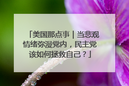 美国那点事｜当悲观情绪弥漫党内，民主党该如何拯救自己？